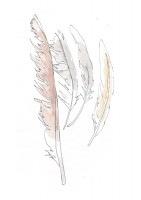 http://www.francesleeceramics.com/files/gimgs/th-42_feathers -Lossiemouth- colour-web.jpg